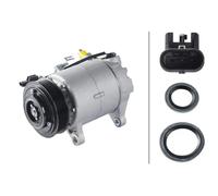 Compresor del aire acondicionado R 134 a PAG 46 YF 8FK 366 201-881 HELLA