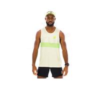 Compressport Performance L Vert