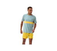 Compressport Performance XL Verde