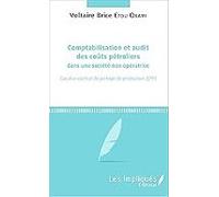 Comptabilisation Et Audit Des Coûts Pétroliers Dans Une Société Non-op