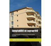 Comptabilité en copropriété: Ecritures comptables à connaître pour une bonne gestion financière