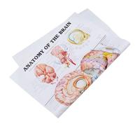 COMPUKAS Póster Anatómico del Cerebro Humano 50x70 Cm sin Marco, Cartel Médico de Lona Duradera para Educación Científica y Aula, Cuadro de Enseñanza Anatómica para Oficina y Laboratorio
