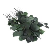 COMPUKAS Tallos de Eucalipto Secos Reales para Centros de Mesa de Eucalipto, 1 Paquete Verde de Material Sintético, Decoración Rústica para Bodas y Jarrones