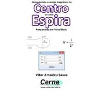 Computando O Campo Magnético No Centro De Uma Espira Programado Em Vis