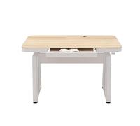 Computer Desk - Escritorio De Estudio Ajustable, Mesa De Reuniones Móvil De Capacitación Sencilla, Mesas Para Salas De Conferencias Con Cajones, Para Clases Particulares(120*60*(75-120)CM)