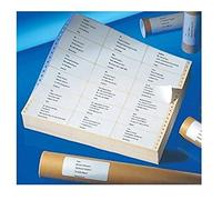 COMPUTER LABEL AVERY 107x48,8M