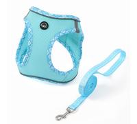 COMSLE Arnes y Correa para Perros Pequeño, Transpirable Malla Suave Reflectante Arnes Cachorro, para Paseos al Aire Libre para Perros Pequeños, Azul Claro, XS