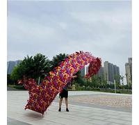 con la Cinta del dragón, Cintas de Ejercicio rítmico Dragon Head en Multicolor, 8 m-10 m con Cabeza 400G-550G(Red,10m/33ft Head 400G)