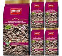 Con Pufai Grocery, semillas de girasol Dakota saladas 250 gramos x 5 piezas