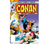 CONAN BARBARIAN ORIG OMNIBUS REG ED 06: The Original Comics Omnibus: 6 (Conan The Barbarian: The Original Comics Omnibus)