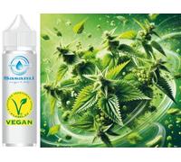 Concentrado aromático de flor de ortiga - Vegano - Sasami - 100ml