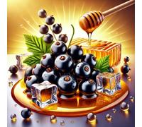 Concentrado de Sabor a miel y grosella negra Honey Black Ice - Vegano - Sasami - 100ml