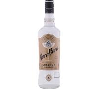 Monin chai tea 70 cl 1 x 700 ml