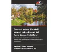 Concentrazione di metalli pesanti nei sedimenti del fiume Lagaip-Strickland