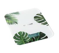 CONCEPT Hausgeräte MONSTERA VK5713 - Báscula de cocina con indicador de tiempo, temporizador, capacidad de carga de hasta 15 kg, pantalla LCD, cristal