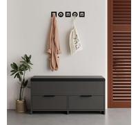 CONCEPTO FÁBRICA | Mueble para zapatos pulido 106 x 50 cm | 4 compartimentos cerrados con 2 puertas batientes y 2 elevables | Diseño antracita elegante | Hasta 7 pares | Compacto y práctico