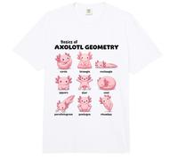 Conceptos Básicos De La Geometría del Axolotl Profesor De Comfort Colors Adult Heavyweight T-Shirt