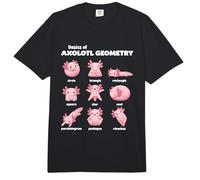 Conceptos Básicos De La Geometría del Axolotl Profesor De Comfort Colors Adult Heavyweight T-Shirt