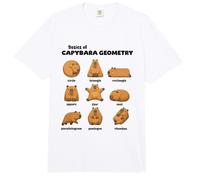 Conceptos Básicos De La Geometría del Carpincho Carpincho Comfort Colors Adult Heavyweight T-Shirt