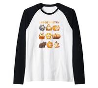 Conceptos básicos de la geometría del Gato Formas círculo triángulo Cuadrado Gato Mascota Camiseta Manga Raglan