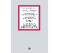Conceptos de Derecho procesal civil (Derecho - Biblioteca Universitaria de Editorial Tecnos)