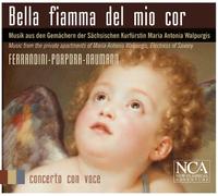 concerto con voce - Bella Fiamma Del Mio Cor