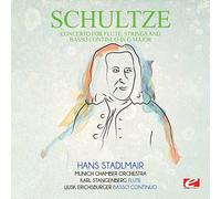 Concerto for Flute Strings Basso Continuo G Major