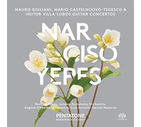 Concertos pour Guitare