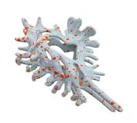 Conch Claw Clip, Shell Hair Clamp, Cute Non Slip Hair Accessory, 4.53 Inches Stylish Grip Design, Lightweight Holder for Weddings, Daily Wear, Parties, Travel, and Sports Use