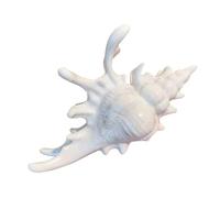 Conch Hair Claw Clip - Cute Hair Clips for Women, Anti Slip Headdress Hairs Clamp for Shower Swimming Everyday Use, Summer Vacation Tropical Wedding Beach Hairs Styling Accessory 5.12x2.95 Inch