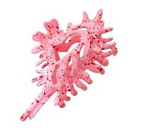 Conch Hair Clips, Non-Slip Hair Accessory, Cute Women’s Claw Clip 4.53 inches, Secure Hold for Wedding, Vacation, Daily Wear, Sports Activities, Party Styling, Durable Comfortable Design