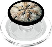 Concha Marina de Sand Dollar PopSockets PopGrip para MagSafe