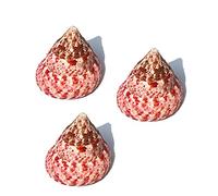 Conchas de caracol marino naturales, Conchas de crecimiento cangrejo ermitaño Turbo Sea Conch 3 piezas 6-7 cm