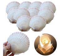 Conchas de Mar Decoracion 9-11cm Conchas de Mar Accesorios Decorativos Concha 10 Pieza Conchas de Vieira Natural Grandes Blancas Conchas de Mar Decoracion Naturales para Manualidades Bricolaje