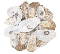 Conchas de ostras grandes para manualidades 20 piezas planas y cóncavas naturales, conchas de ostras para manualidades Decoración de bricolaje de mar 3.94-5.51