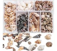 Conchas Marinas Mixtas de Playa,100 Piezas Mini Conchas Espirales,Conchas Marinas Concha de Mar Pequeña Conchas de la Naturaleza para Fiestas de Playa,Bodas y Decoración del Hogar (6 Estilos)