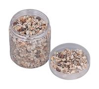 Conchas marinas mixtas, mini conchas marinas no porosas con tanque de almacenamiento, decoración de cuentas de concha artesanal multiusos para bricolaje, rellenos de jarrones,