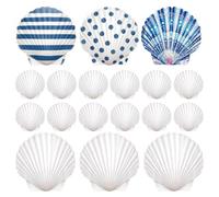 Conchas marinas para manualidades 20 Piezas Caracolas Artesanales