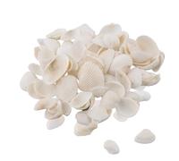 Conchas Naturales, Marinas Conchas Mixtas, Concha De Vieira Pequeña Vieiras, 2 cm-4cm Conchas de Playa de Diversos Tamaños de mar para Rellenos de Jarrones Fiesta Temática Decoración de Bodas Acuario