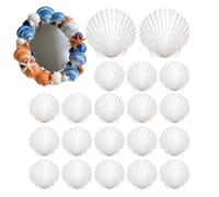 Conchas para Manualidades 20 Piezas Caracolas Artesanales