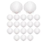 Conchas para Manualidades 20 Piezas Caracolas Artesanales