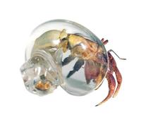 Conchas Transparentes De para s Ermitaños,Caracola De Ermitaño - Grandes Caracolas De Transparente para Reptiles Crustáceos Peces,Animales Marinos Terrario Reptiles Crustáceos