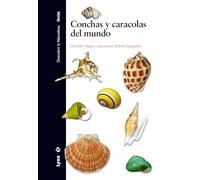 Conchas y Caracolas del Mundo