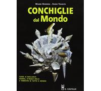 Conchiglie dal mondo. Guida ai molluschi marini, d'acqua dolce e terrestri di tutto il mondo. Ediz. illustrata (Natura)
