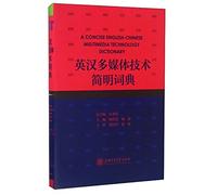 Concise Dictionary of English and Multimedia Technology(Chinese Edition)