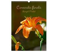 Concordia floralis (Calendrier mural 2026 DIN A3 horizontal), CALVENDO calendrier mensuel: Pétales, rosée, couleurs