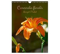 Concordia floralis (Calendrier mural 2026 DIN A4 horizontal), CALVENDO calendrier mensuel: Pétales, rosée, couleurs
