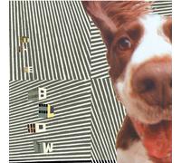 Concussive Caress or Casey Caught Her Mom Singing