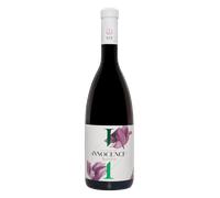 Condado de Huelva Innocence Barrica 2023