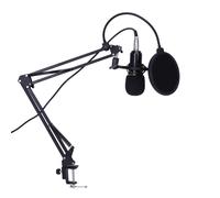 Condenser Microphone Mic Kit Live Studio Sound Recording Mount Boom Stand Black silver